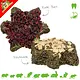 Grain-free Christmas Star 80 grams Grain-free for rodents & rabbits!