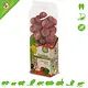 JR Farm Boules de Vitamines SANTÉ Sans Grains Paprika