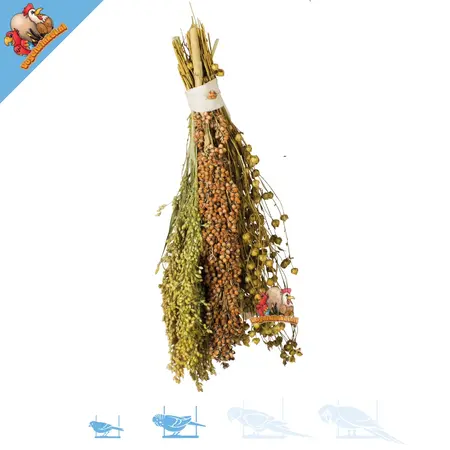 JR Farm Pick & Fly Oogst