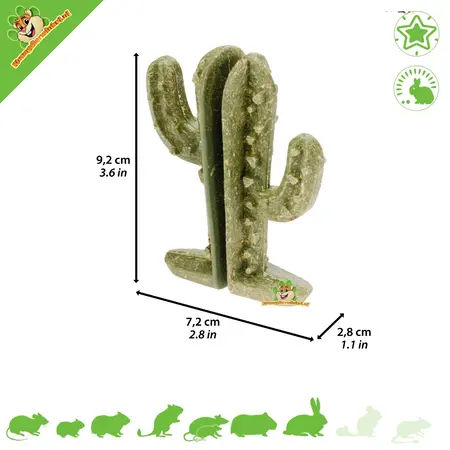 Ferplast Veggie Bites Cactus 9 cm – Snack natural para roedores