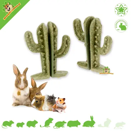 Veggie Bites Cactus 9 cm – Natural snack for rodents
