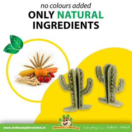 Ferplast Veggie Bites Cactus 9 cm – Naturalna przekąska dla gryzoni