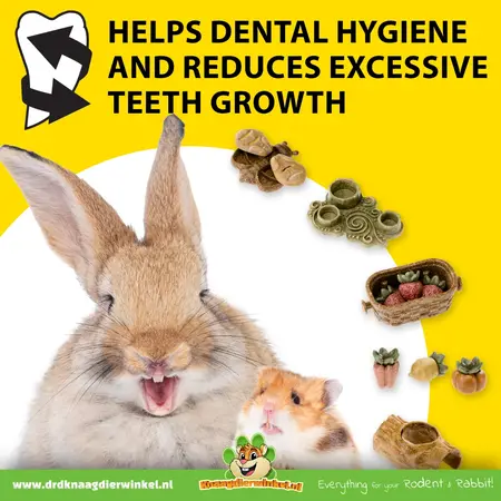 Ferplast Veggie Bites Flowers: un snack comestible de flores para roedores y conejos.