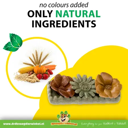 Ferplast Veggie Bites Flowers – Essbarer Blumensnack für Nagetiere und Kaninchen