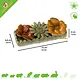Ferplast Flores comestibles: un snack floral para roedores y conejos.