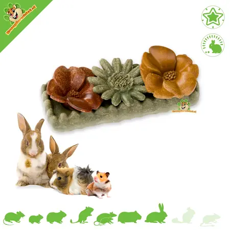 Ferplast Veggie Bites Flowers – Essbarer Blumensnack für Nagetiere und Kaninchen