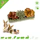 Ferplast Fleurs Veggie Bites – Friandises florales comestibles pour rongeurs et lapins