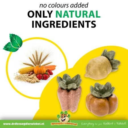 Ferplast Veggie Bites Vegetables 3 piezas – Snacks vegetales saludables y comestibles para roedores y conejos