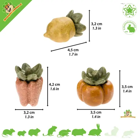 Ferplast Bouchées Végétariennes Légumes 3 pièces – Snacks végétaux sains et comestibles pour rongeurs et lapins
