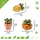 Ferplast Veggie Bites Vegetables 3 pieces – Healthy and edible vegetable snacks for rodents and rabbits