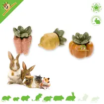 Bouchées de légumes Légumes 3 pièces