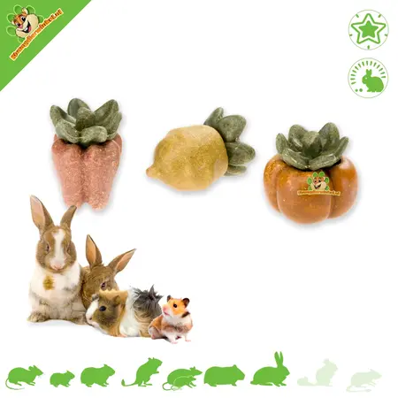 Ferplast Veggie Bites Gemüse 3 Stück – Gesunde und essbare Gemüsesnacks für Nagetiere und Kaninchen
