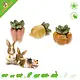 Ferplast Veggie Bites Vegetables 3 piezas – Snacks vegetales saludables y comestibles para roedores y conejos