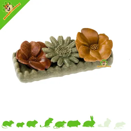 Ferplast Veggie Bites Flowers – jadalna przekąska kwiatowa dla gryzoni i królików