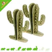 Veggie Bites Cactus 9 cm (2 stuks)