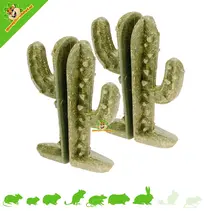Veggie Bites Cactus 9 cm (2 pieces)