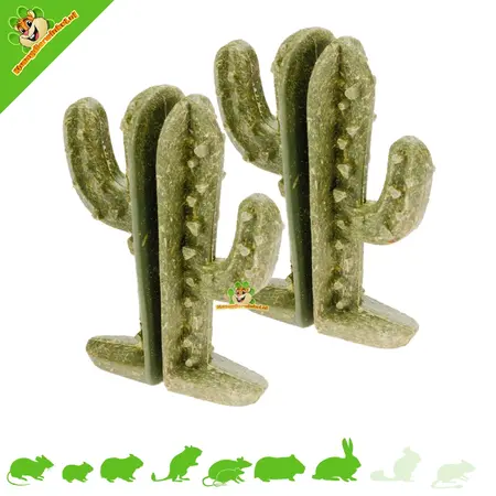 Ferplast Veggie Bites Cactus 9 cm – Naturalna przekąska dla gryzoni