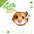 Knaagdierwinkel® Sniffing Box Gold Hamster #13