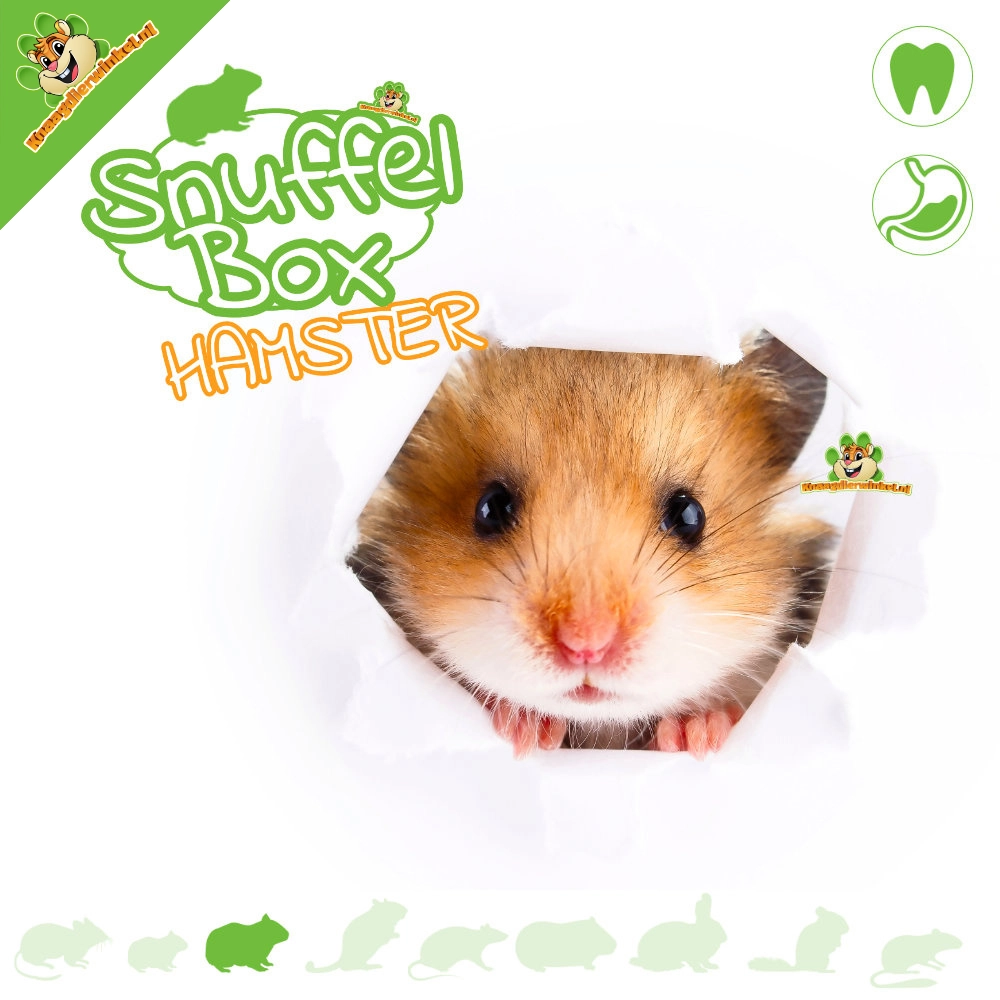 Knaagdierwinkel® Snuffelbox Goudhamster #12