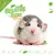 Knaagdierwinkel® Snuffelbox Rat #14