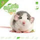 Knaagdierwinkel® Boîte à rats n° 17