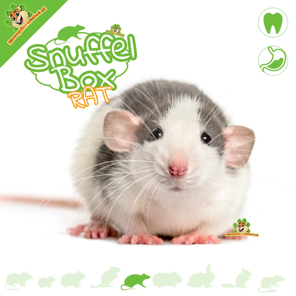Knaagdierwinkel® Snuffelbox Rat #12