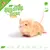 Knaagdierwinkel® Snuffelbox Muis #05