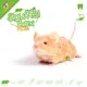 Knaagdierwinkel® Myszka wąchająca nr 04