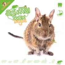 Boîte à renifler Degu n° 06