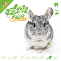 Snuffelbox Chinchilla #10