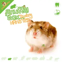 Dwarf Hamster Sniffing Box #17