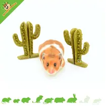 Bouchées Végétariennes Cactus 9 cm (2 pièces)