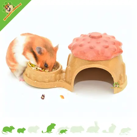 Ferplast Natural Veggie Bites House with food bowl for small rodents
