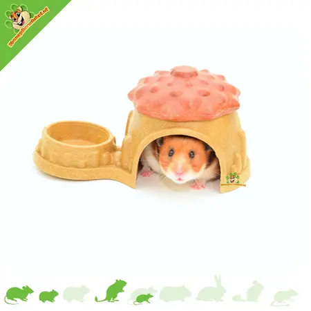 Ferplast Natural Veggie Bites Haus mit Futternapf für kleine Nagetiere