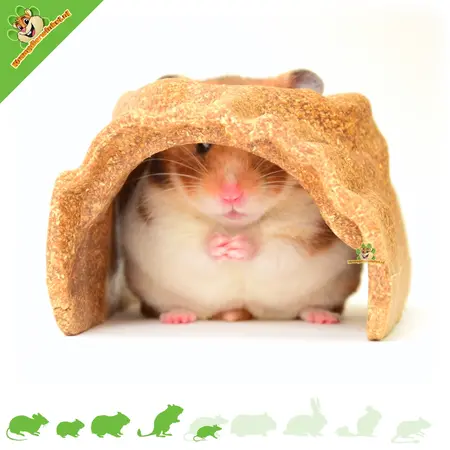 Tronco Veggie Bites de 15,5 cm para roedores pequeños