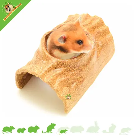 Ferplast Bûche de légumes 15,5 cm pour petits rongeurs