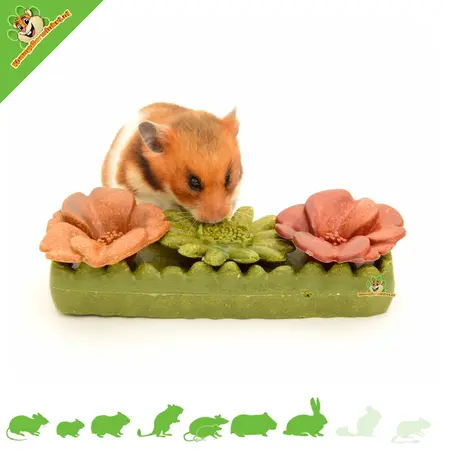 Ferplast Bouchées de légumes aux fleurs – Collation florale comestible pour rongeurs et lapins