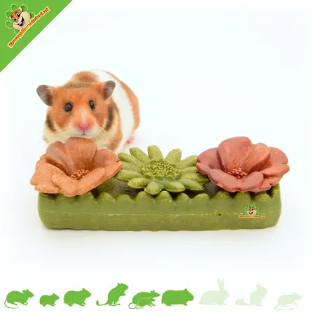 Ferplast Veggie Bites Flowers – Eetbare bloemen snack voor knaagdieren en konijnen