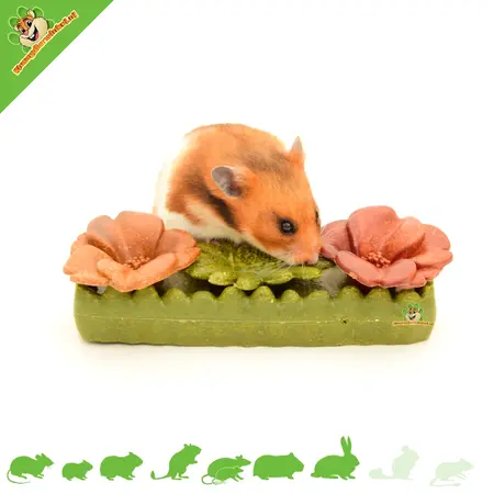 Ferplast Veggie Bites Flowers: un snack comestible de flores para roedores y conejos.