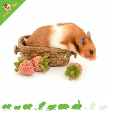 Ferplast Veggie Bites Strawberries in an edible basket – Healthy nibbling fun for rodents and rabbits
