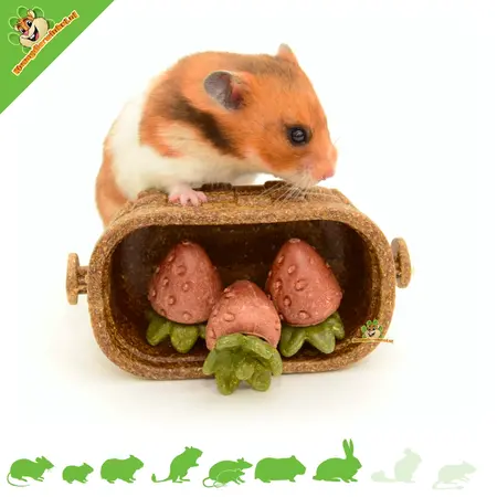 Ferplast Veggie Bites Strawberries in an edible basket – Healthy nibbling fun for rodents and rabbits