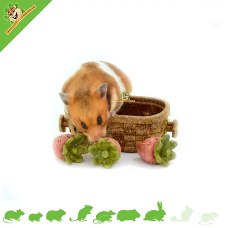 Ferplast Veggie Bites Strawberries in an edible basket – Healthy nibbling fun for rodents and rabbits