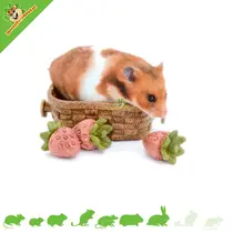 Veggie Bites Aardbeienmand 13 cm