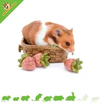 Veggie Bites Aardbeienmand 13 cm