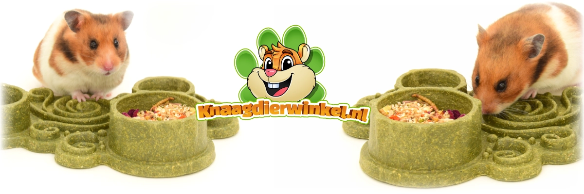 miska na jedzenie dla chomika