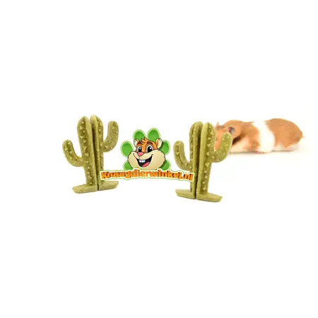 Ferplast Veggie Bites Cactus 9 cm – Snack naturel pour rongeurs