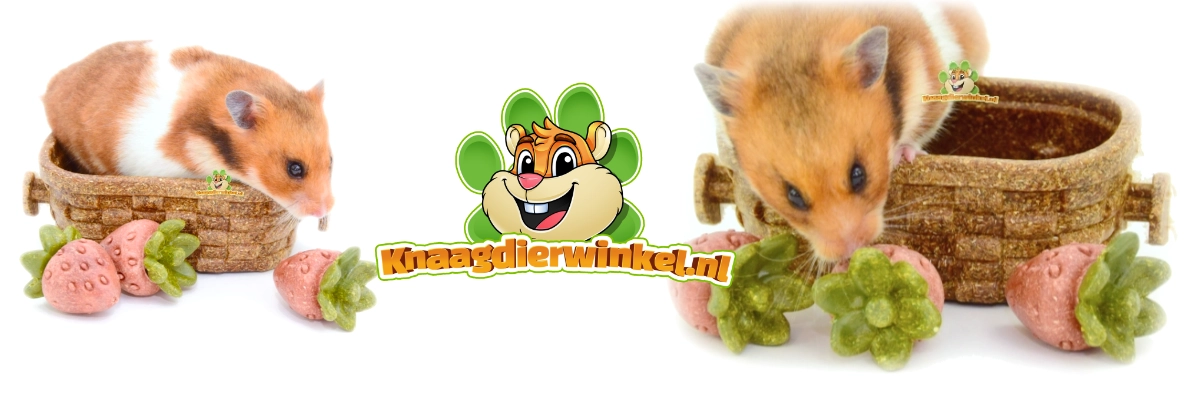 koszyczek z truskawkami do aranżacji chomików