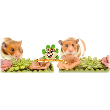 Ferplast Veggie Bites Flowers: un snack comestible de flores para roedores y conejos.