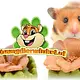 Ferplast Gemüse-Bites-Blüten – Essbarer Blütensnack für Nagetiere und Kaninchen