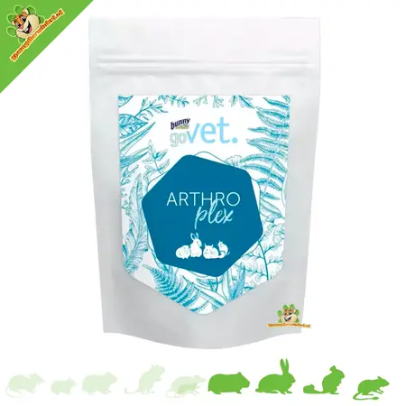 Bunny Nature goVet ARTHROplex – Unterstützung für das ältere Tier